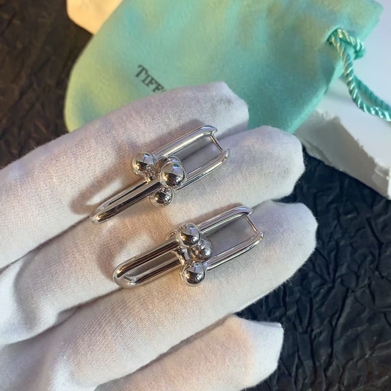 [⭐JeweliWhal]HW SERIES EARRINGS